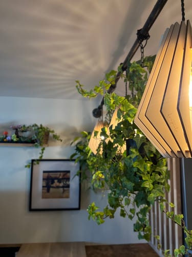 Customer photo review of Trio Ambre