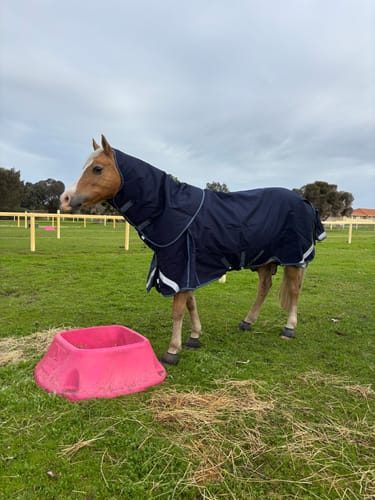 Customer photo review of LE Boxter Turnout Ripstop 200g