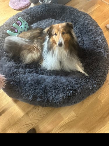 Customer photo review of CalmBed - Motverkar stress & hjälper mot ångest