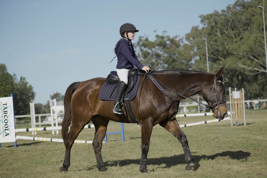 Customer photo review of Rambo Micklem Contoured Long Girth