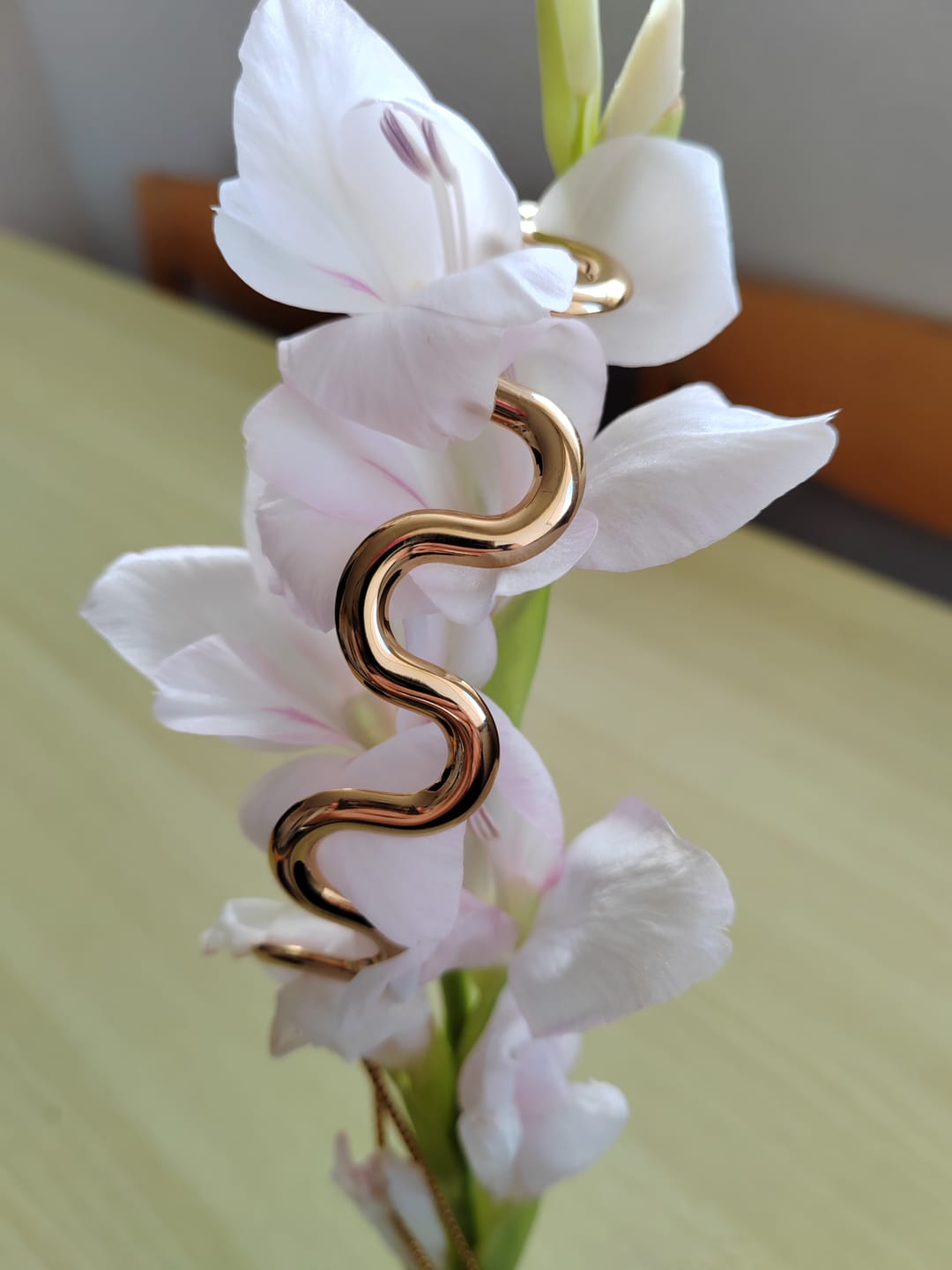 Customer photo review of Caelum