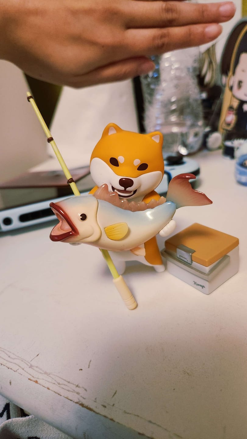 Customer photo review of Kuraya Shiba Tourshiba 2nd Versions Series Blind Box