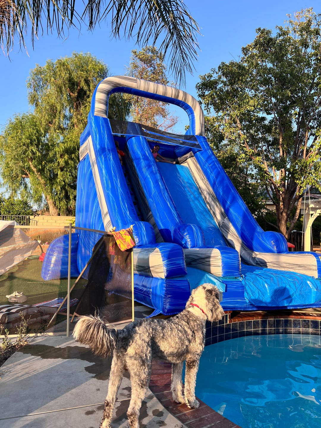 Customer photo review of Commercial Blow Up Water Slides, Inflatable Water Slide For Swimming Pool