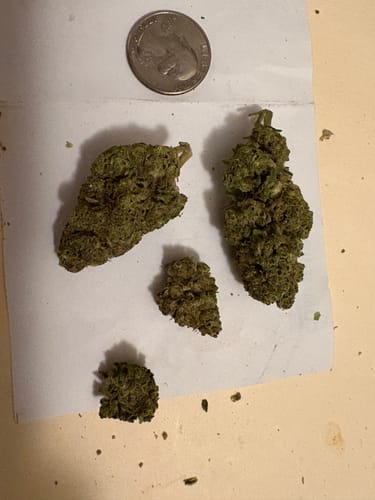 Customer photo review of 1 Gram Pre-Roll (Indica)