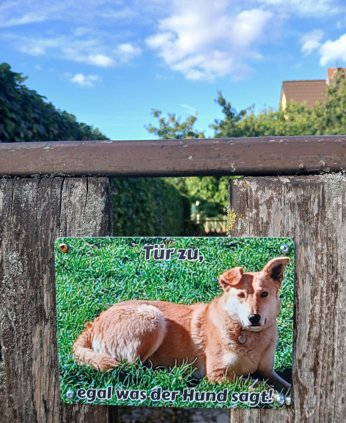 Customer photo review of Hunde-Türschild personalisiert mit Foto & Text (UV- und wetterfest)