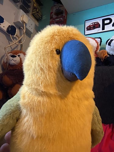 Jammie T. review of Jellycat Budgeby Parrot image 1 out of 1