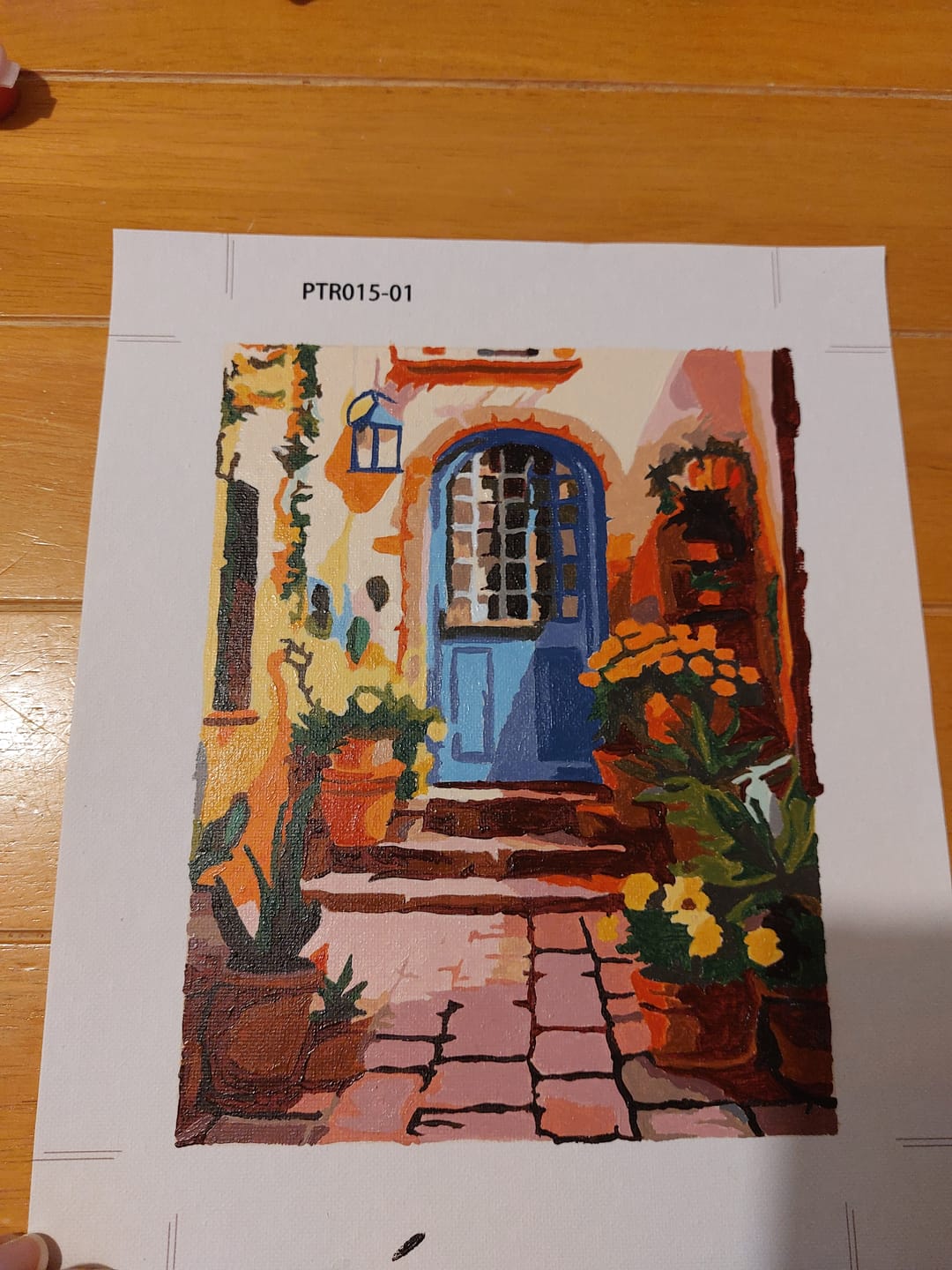 Customer photo review of 6 Mini Paintings - Colorful Doors Set