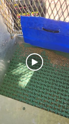 Customer video review of Combo Dream Mat