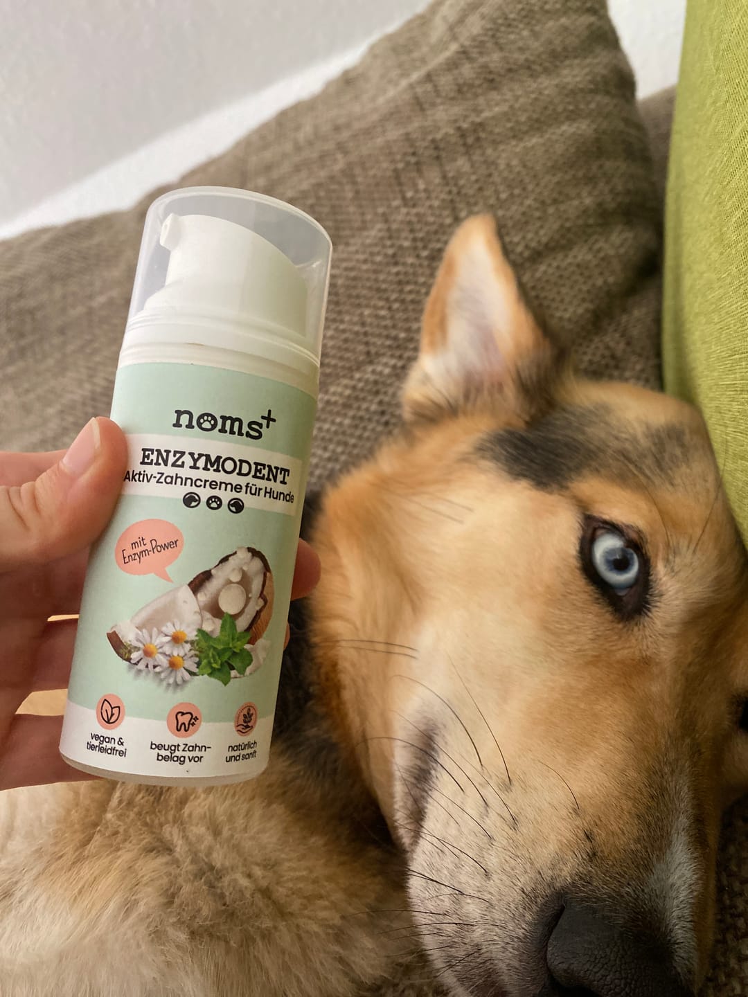 Customer photo review of Enzymodent: Enzymatische Zahnpasta für Hunde mit natürlicher Pflege- und Präventionsformel