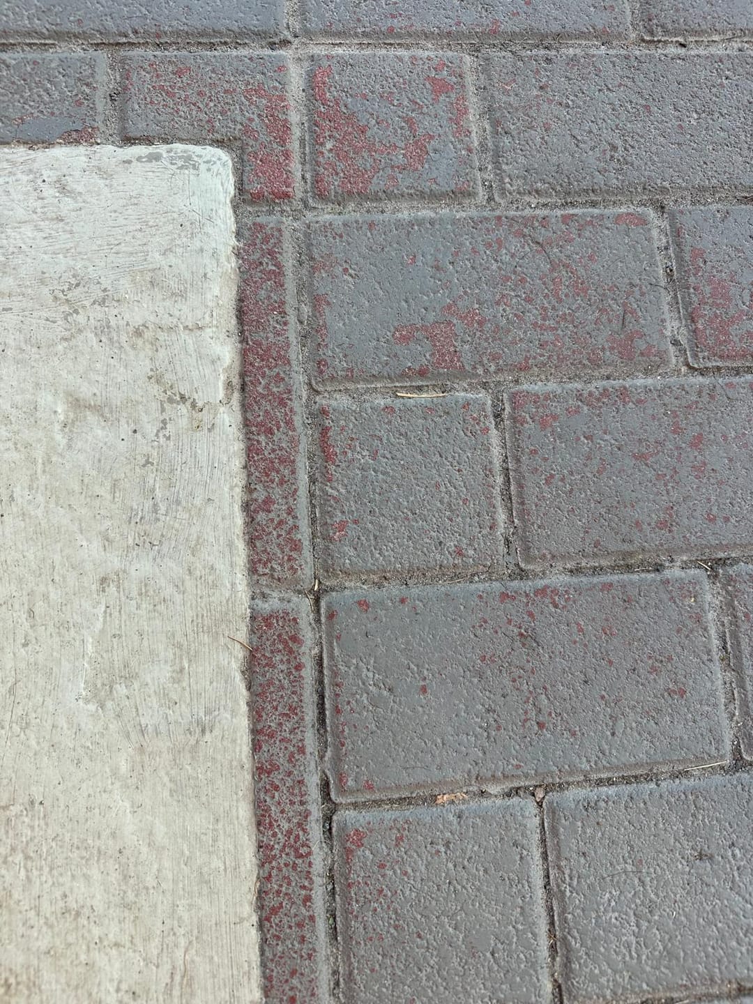 Customer photo review of zerogreen® Steinfarbe | Beton- & Pflastersteinfarbe außen | 5L