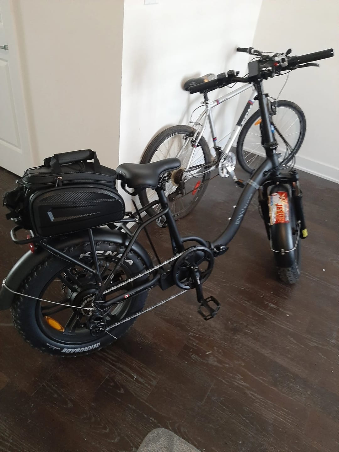 Customer photo review of E-Mini Pro