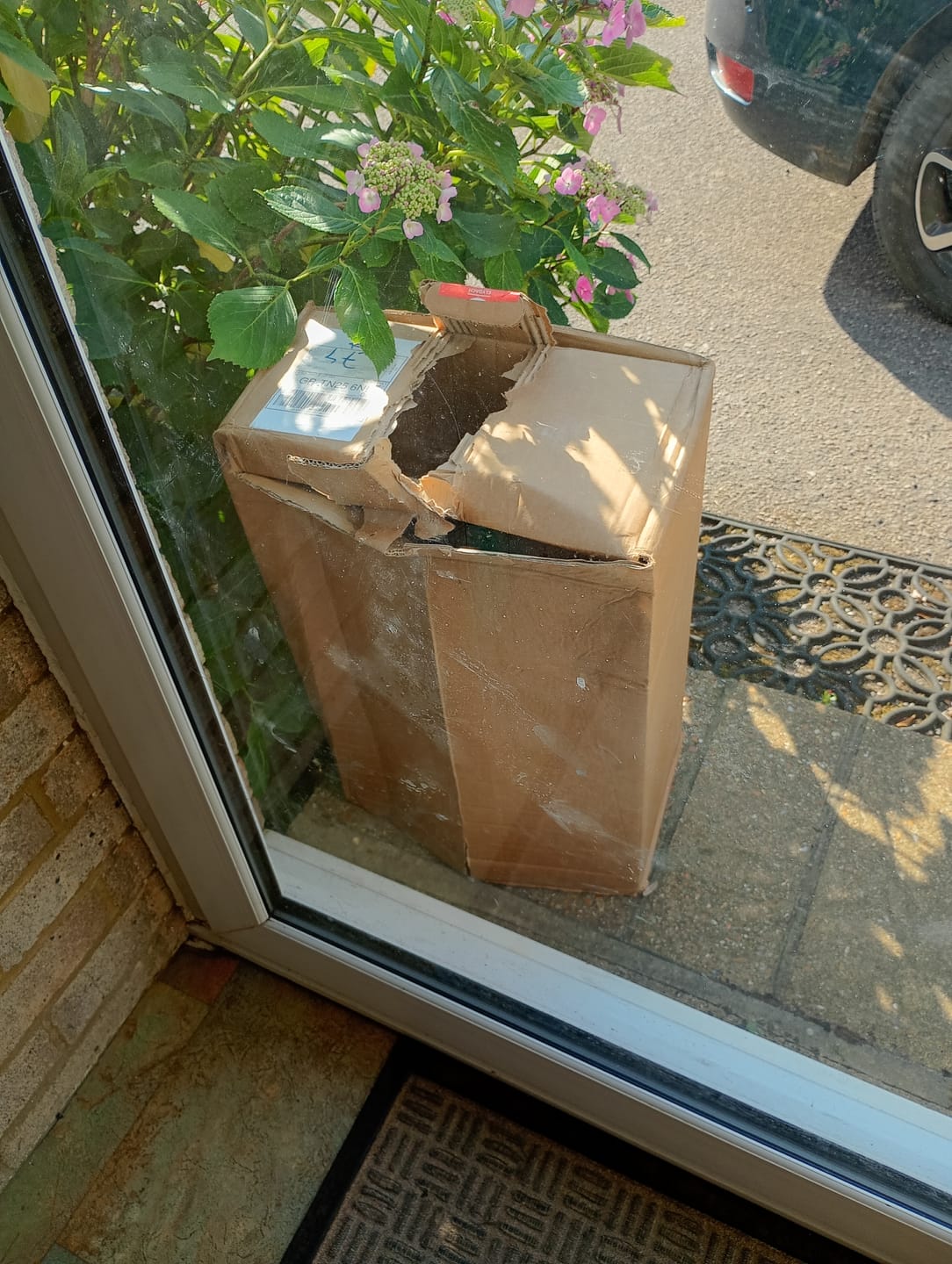 Customer photo review of British Poultry Dry Food Senior/Lite