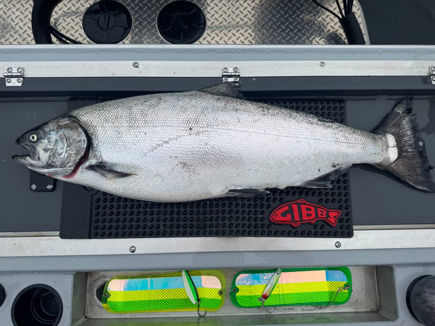 Customer photo review of Gibbs Fish Cleaning Mat