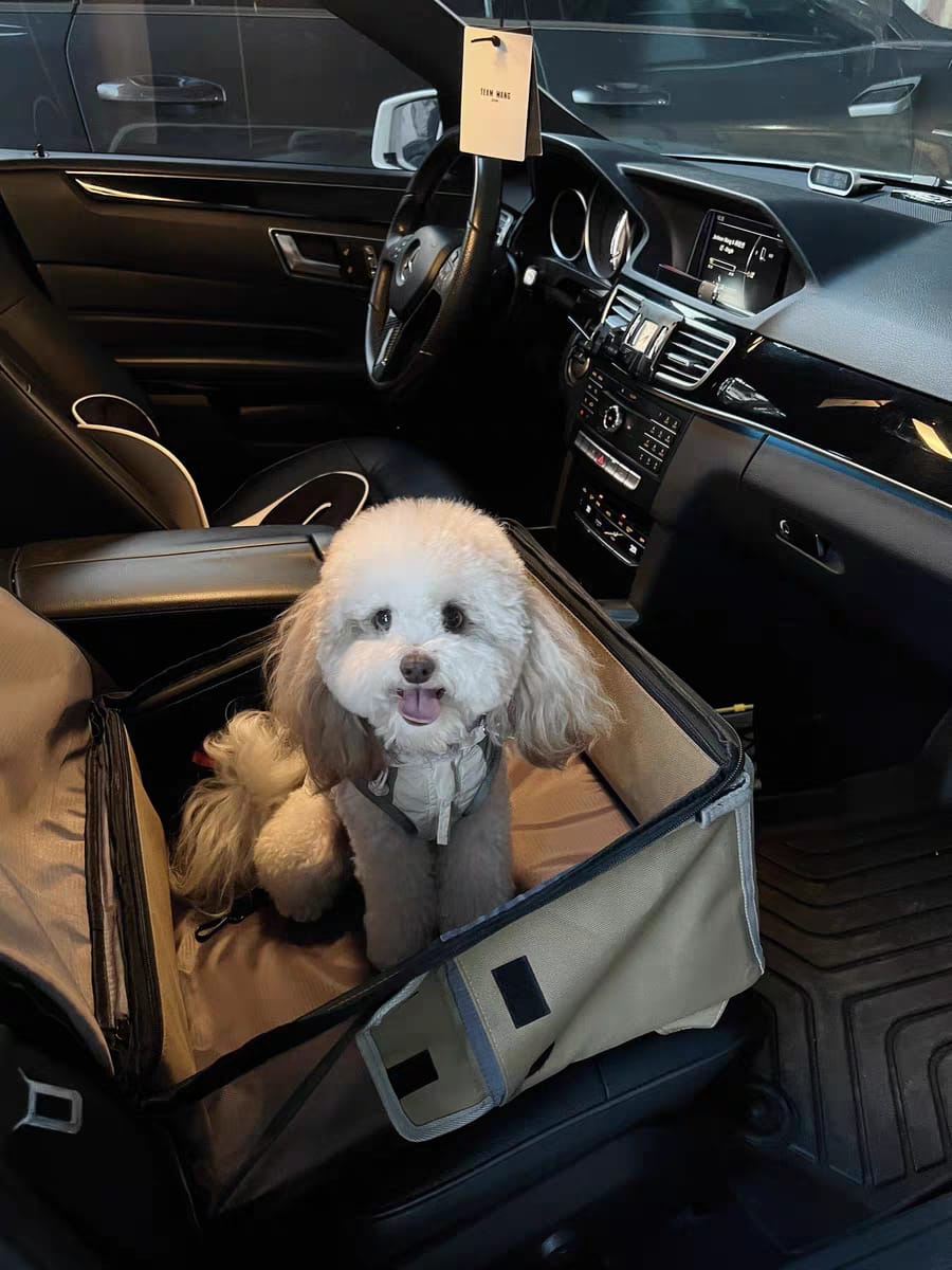 Customer photo review of Pet 2-in-1 Car Seat & Backpack with Seatback Protector – Foldable Design