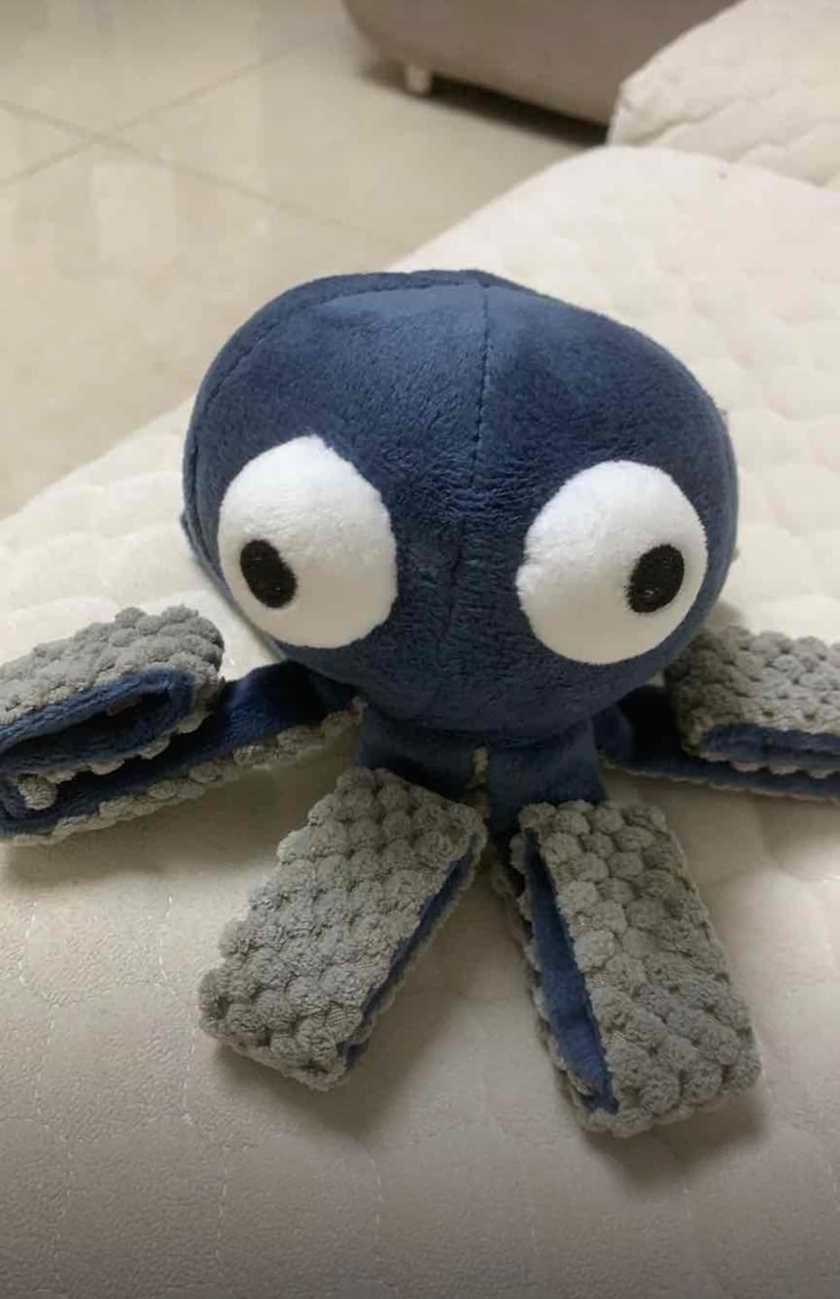 Customer photo review of Ocean Snuffle & Squeaky Plush Enrichment Toy – Available as Single or Set