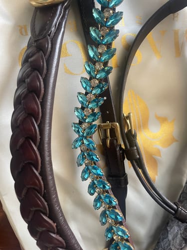 Customer photo review of Iris browband