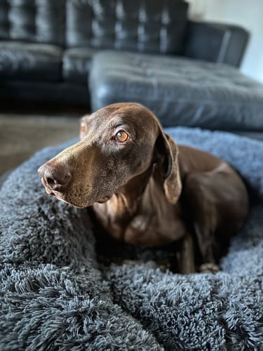 Customer photo review of CalmBed - Motverkar stress & hjälper mot ångest