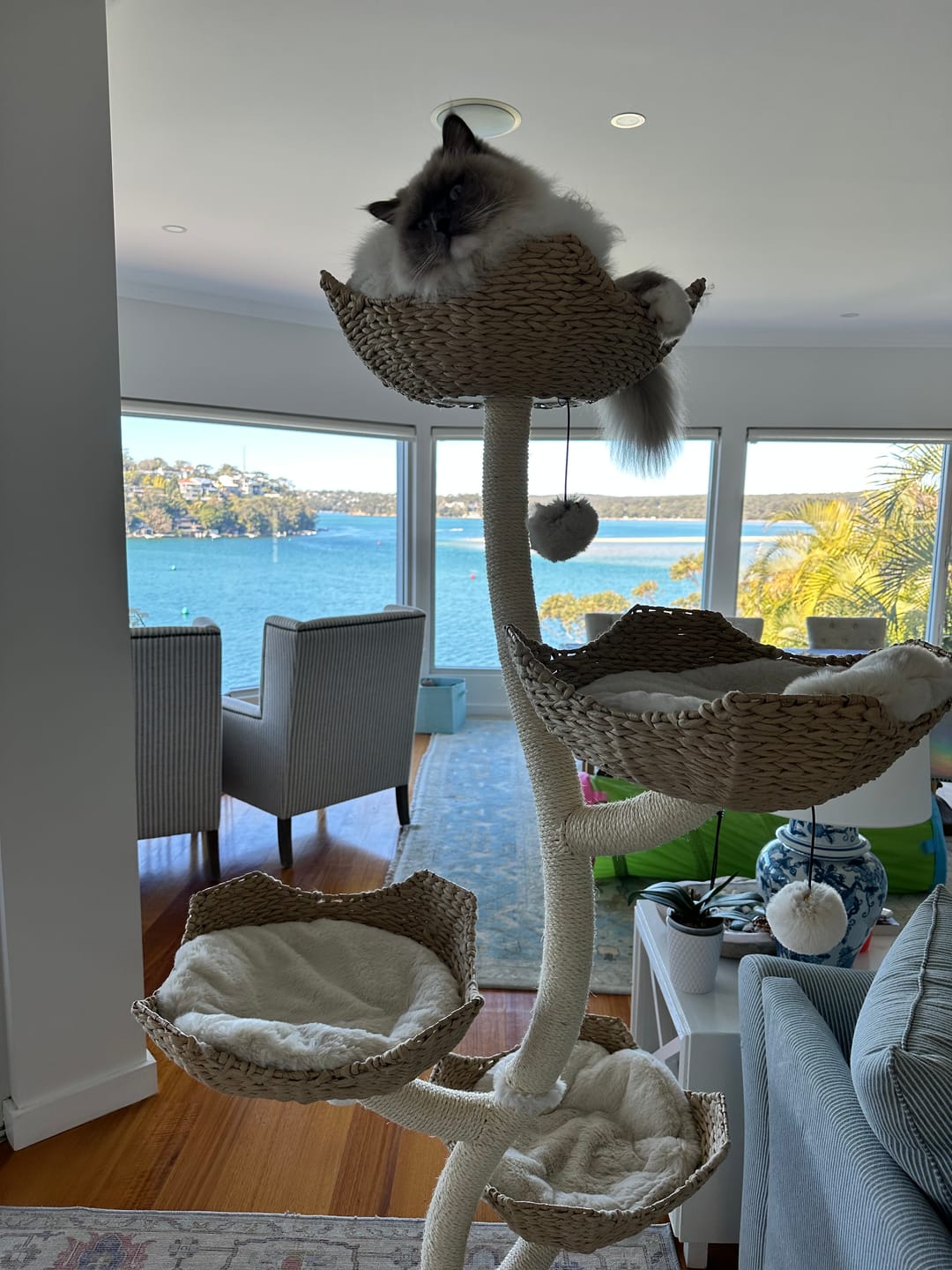 Customer photo review of MICHU Ivy Cat Tower Deluxe 4-Tier Designer Tall Cat Tree