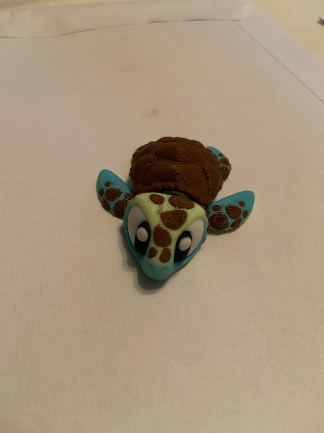 Customer photo review of Baby Sea Turtle