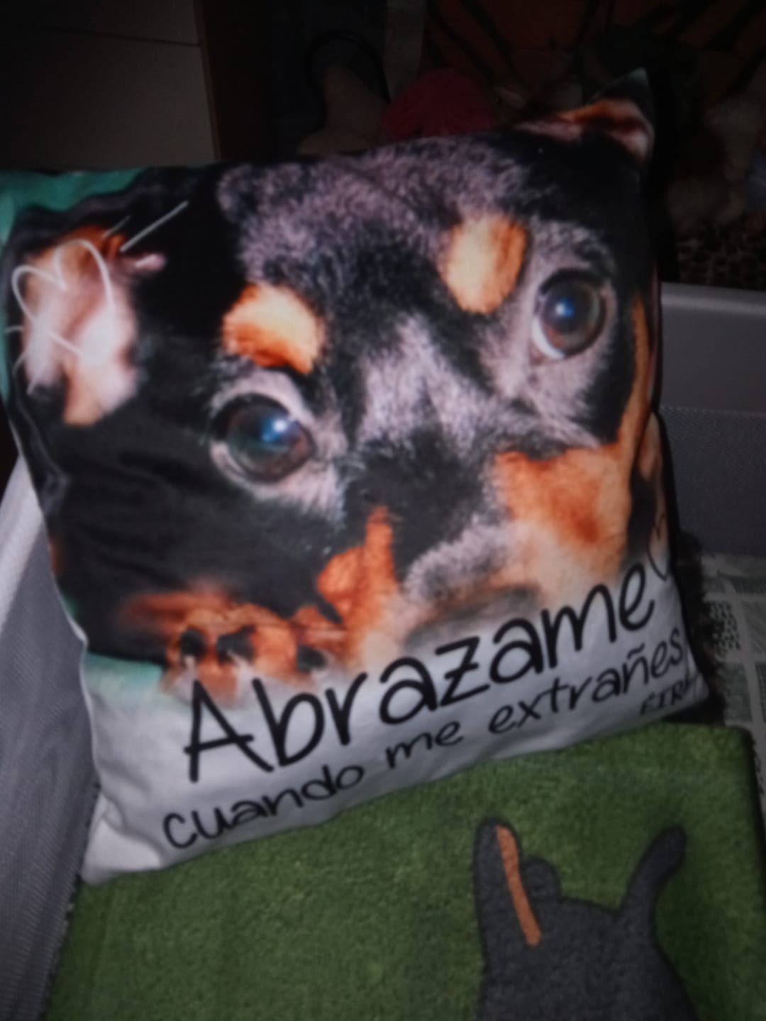 Customer photo review of Abrazame cuando me extrañes - Cojín personalizado