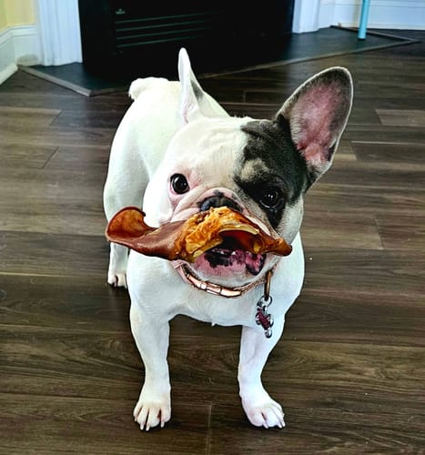 Customer photo review of Smoked Beef Marrow Bone