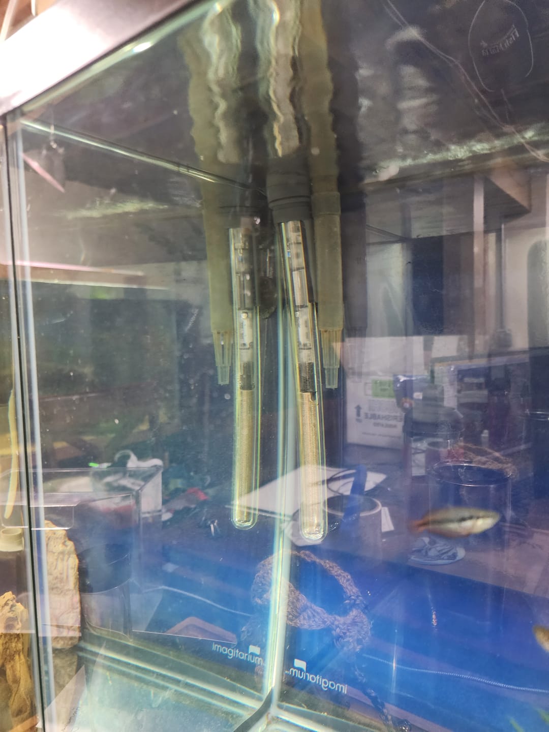 Customer photo review of Scuba Preset Heaters