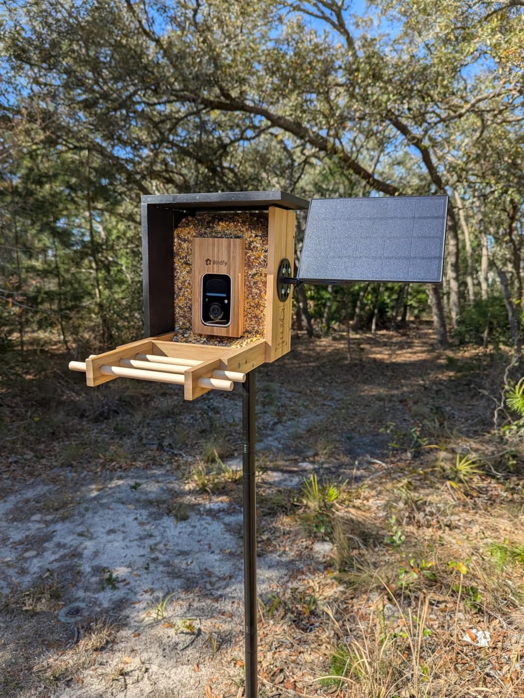 Customer photo review of Birdfy Feeder Bamboo Mini - Bird Feeder With Camera