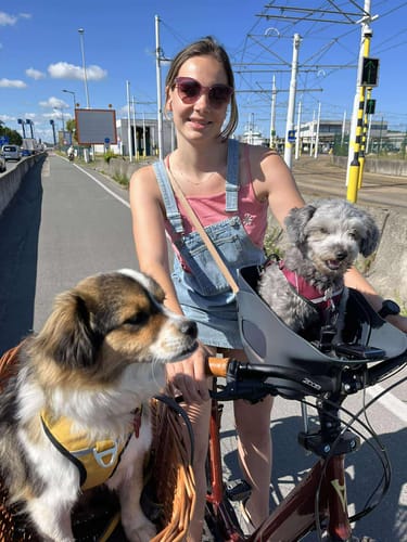 Customer photo review of Kvisp Dog Bike Carrier