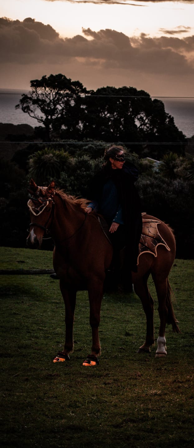 Customer photo review of Renegade® Viper  Glow™ Hoof Boot - Jack o' Lantern