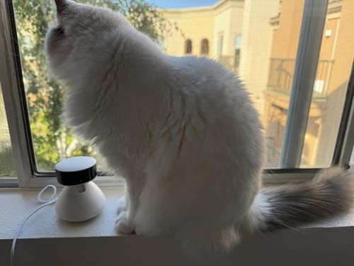 Customer photo review of Scout Smart Camera