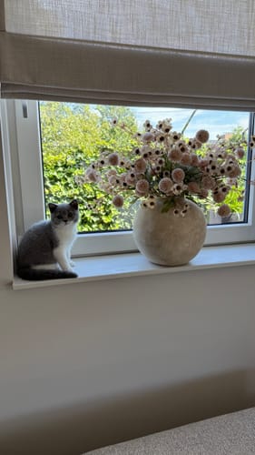 Customer photo review of Wax Arrangement - Crème