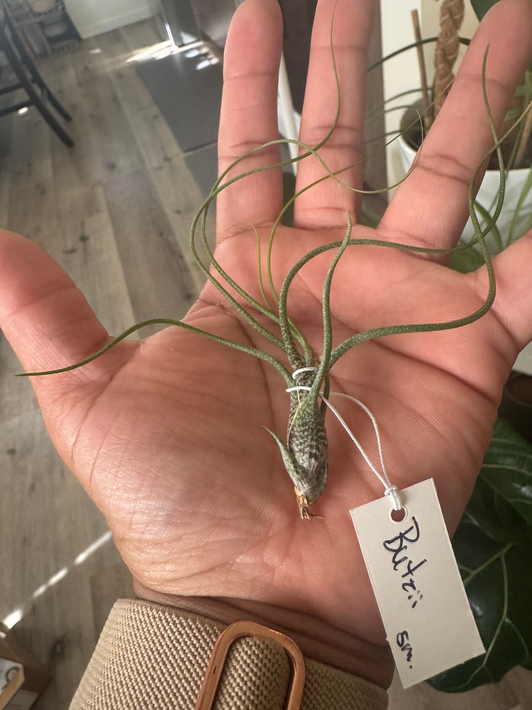 Customer photo review of Butzii
