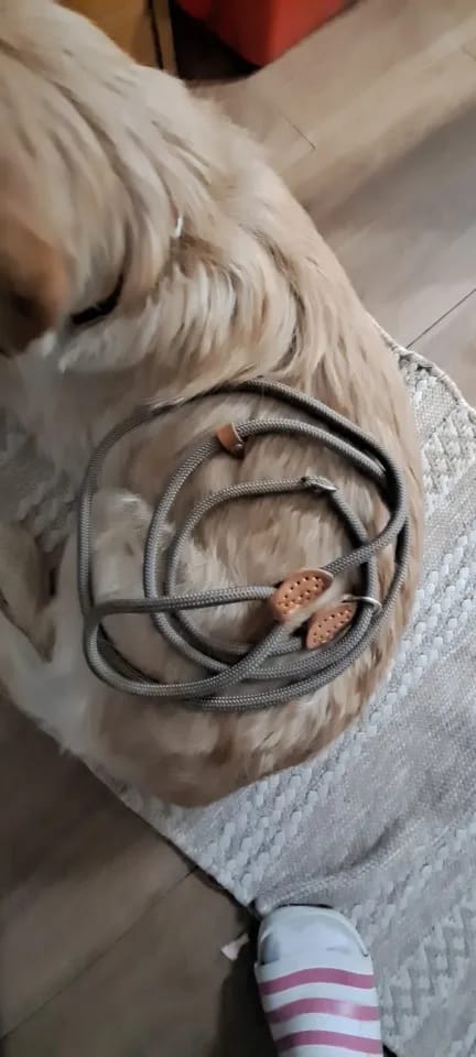 Customer photo review of Dog Walking Leash Slip Rope: Heavy Duty Braided Rope Adjustable Loop Collar