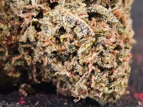 Customer photo review of Grand Daddy Purple THCA Smalls