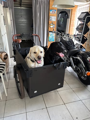 Customer photo review of Vogue Journey - Elektrische bakfiets