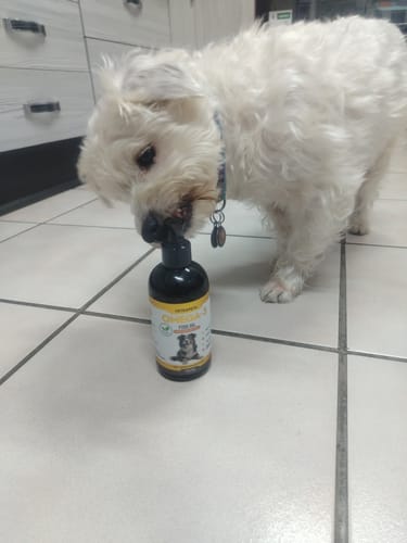 Customer photo review of OMEGA-3