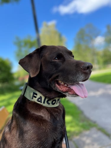 Customer photo review of Extreme Buckle med namn