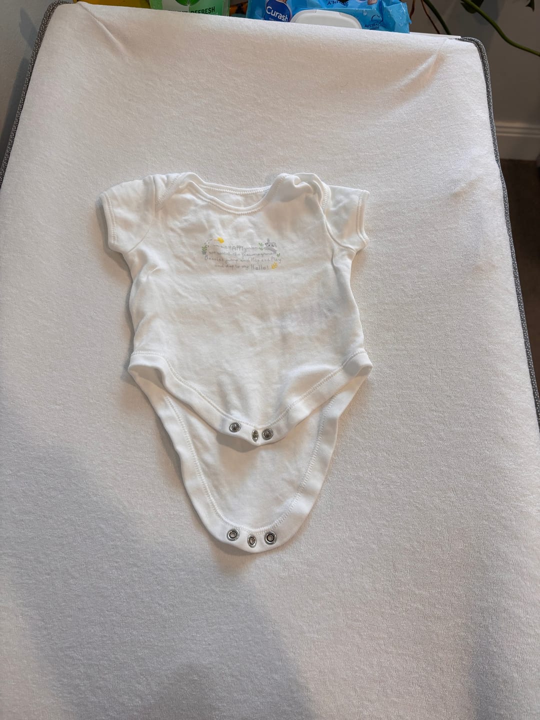 Customer photo review of Hudstone Pre Soaker