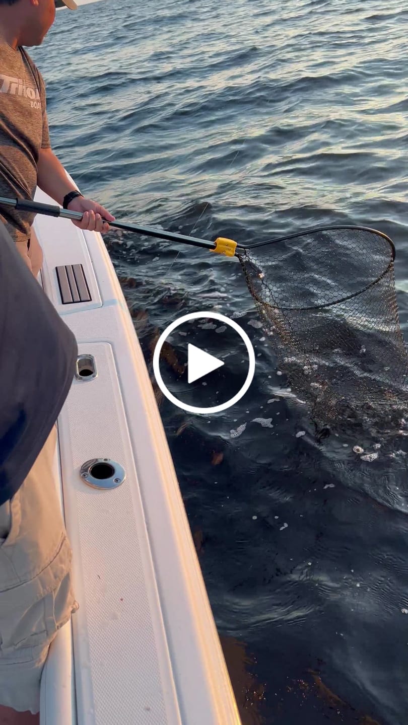 Customer video review of Blue Wave 300-2000 Yard Spools