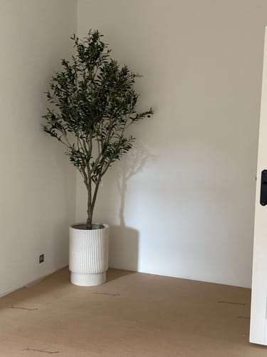 Customer photo review of Pre order Kunst Olijfboom 210cm (eind juni)