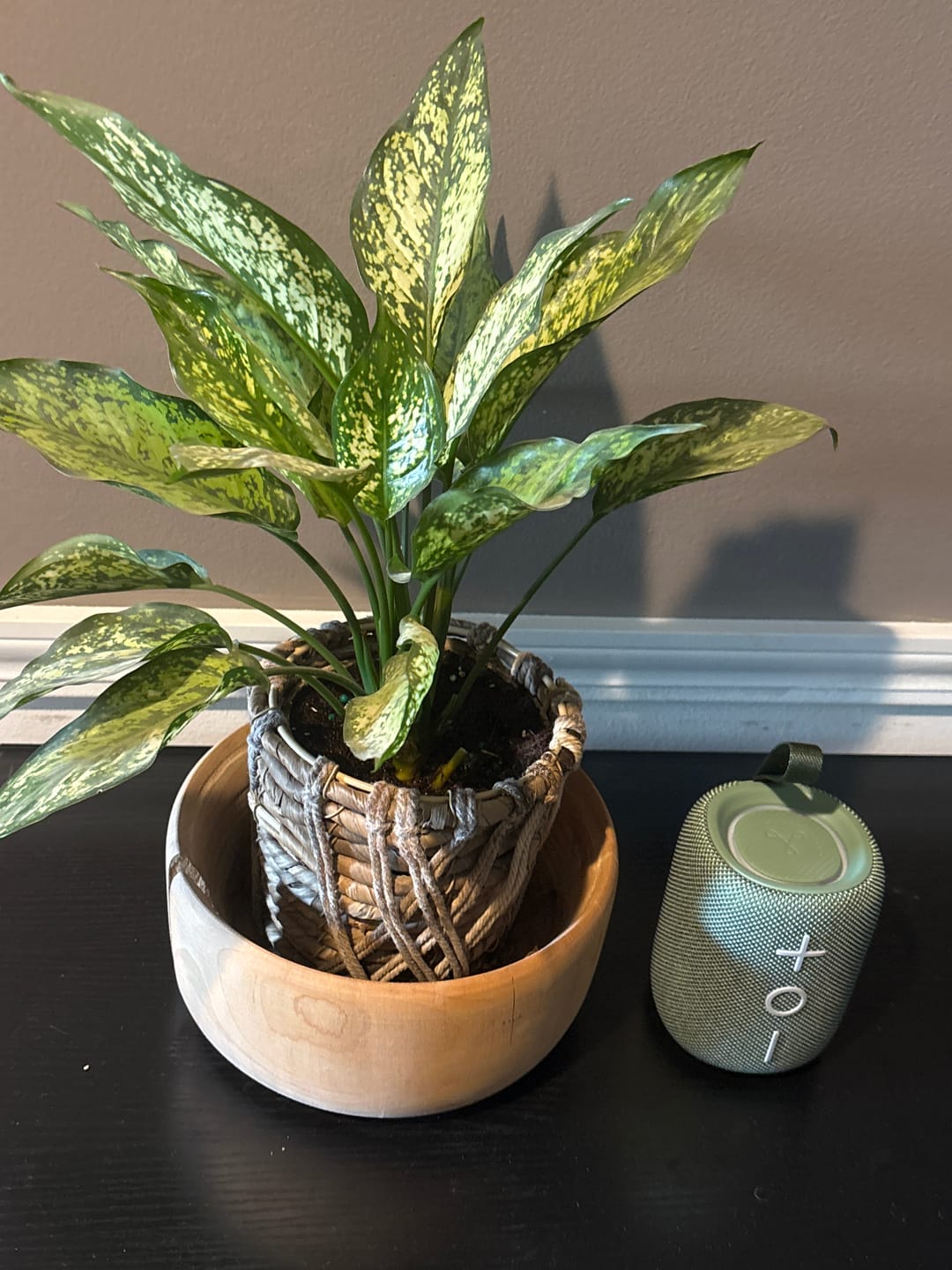 Customer photo review of TRIBIT StormBox Mini + Portable Bluetooth Speaker