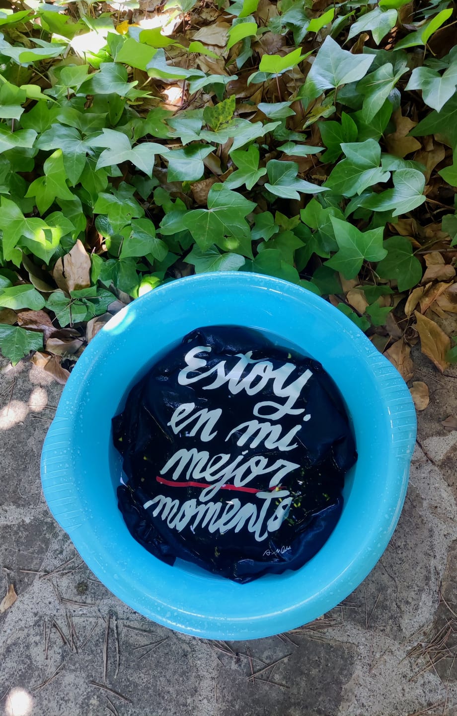 Customer photo review of Camiseta "Estoy en mi mejor momento"