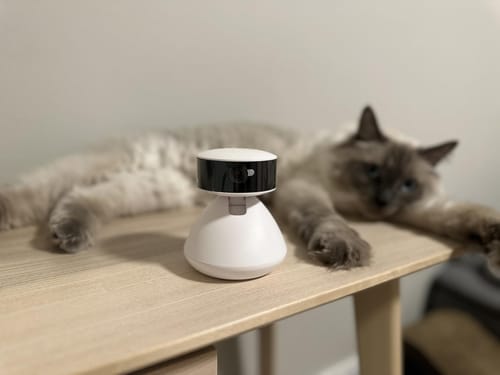 Customer photo review of Scout Smart Camera