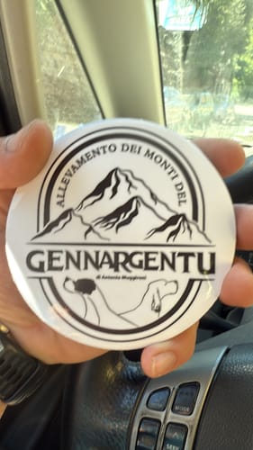 Customer photo review of Sticker Vinile Classico