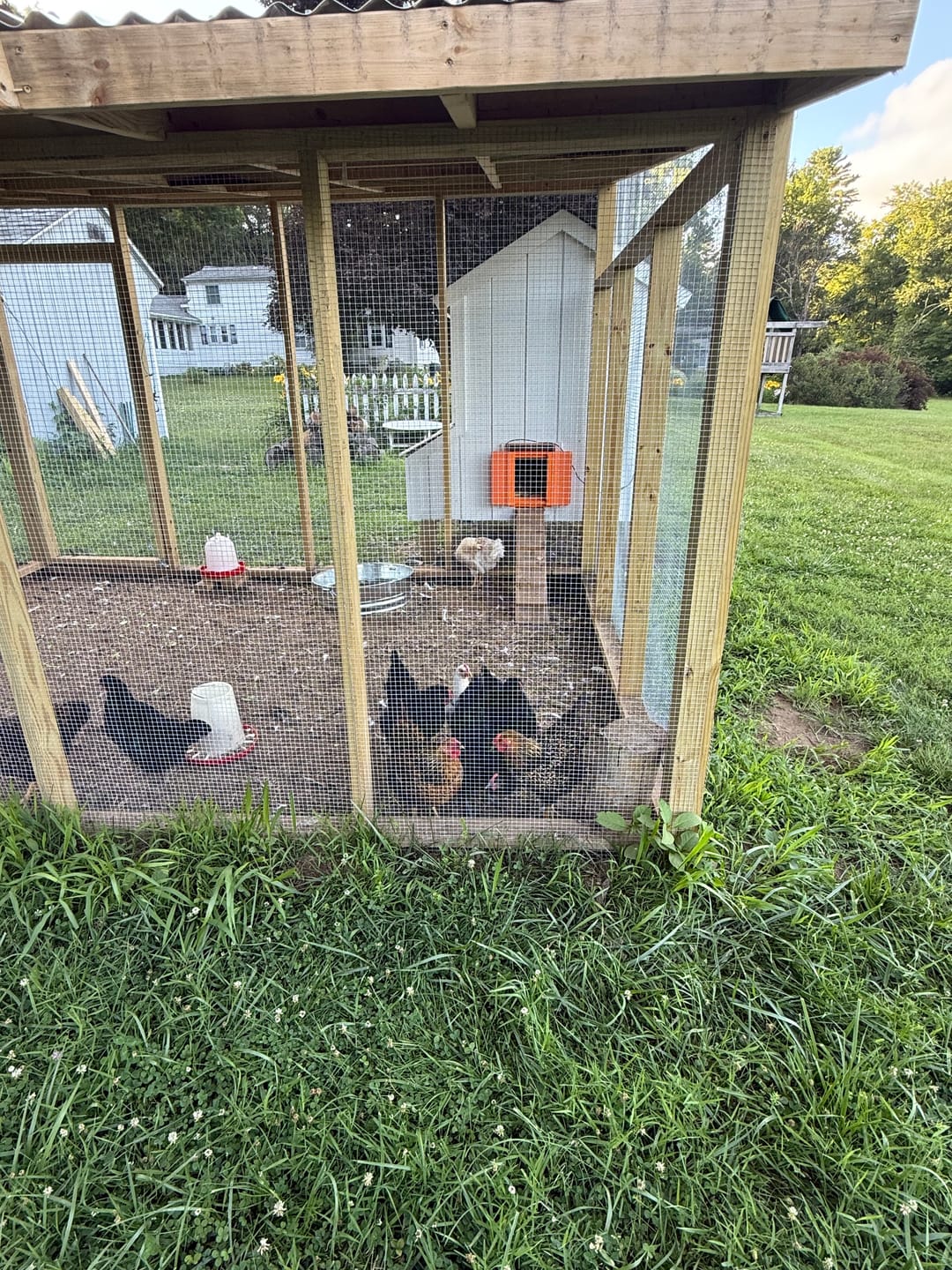 Customer photo review of Solar Automatic Chicken Coop Door
