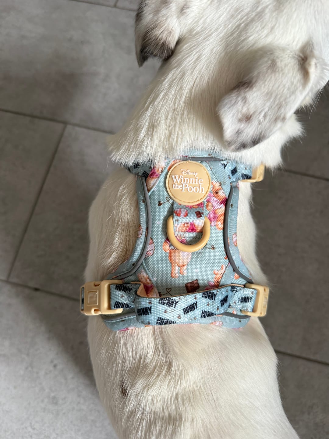 Customer photo review of Disney© Tough Trails™ Harness - Winnie The Pooh