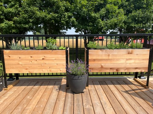 Customer photo review of 18" x 48" Raised Garden Bed - 30" TALL