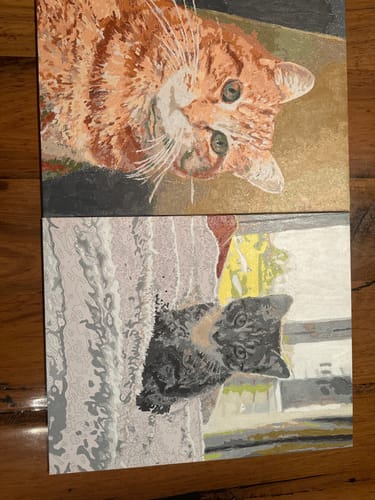 Customer photo review of Paint Your Cat