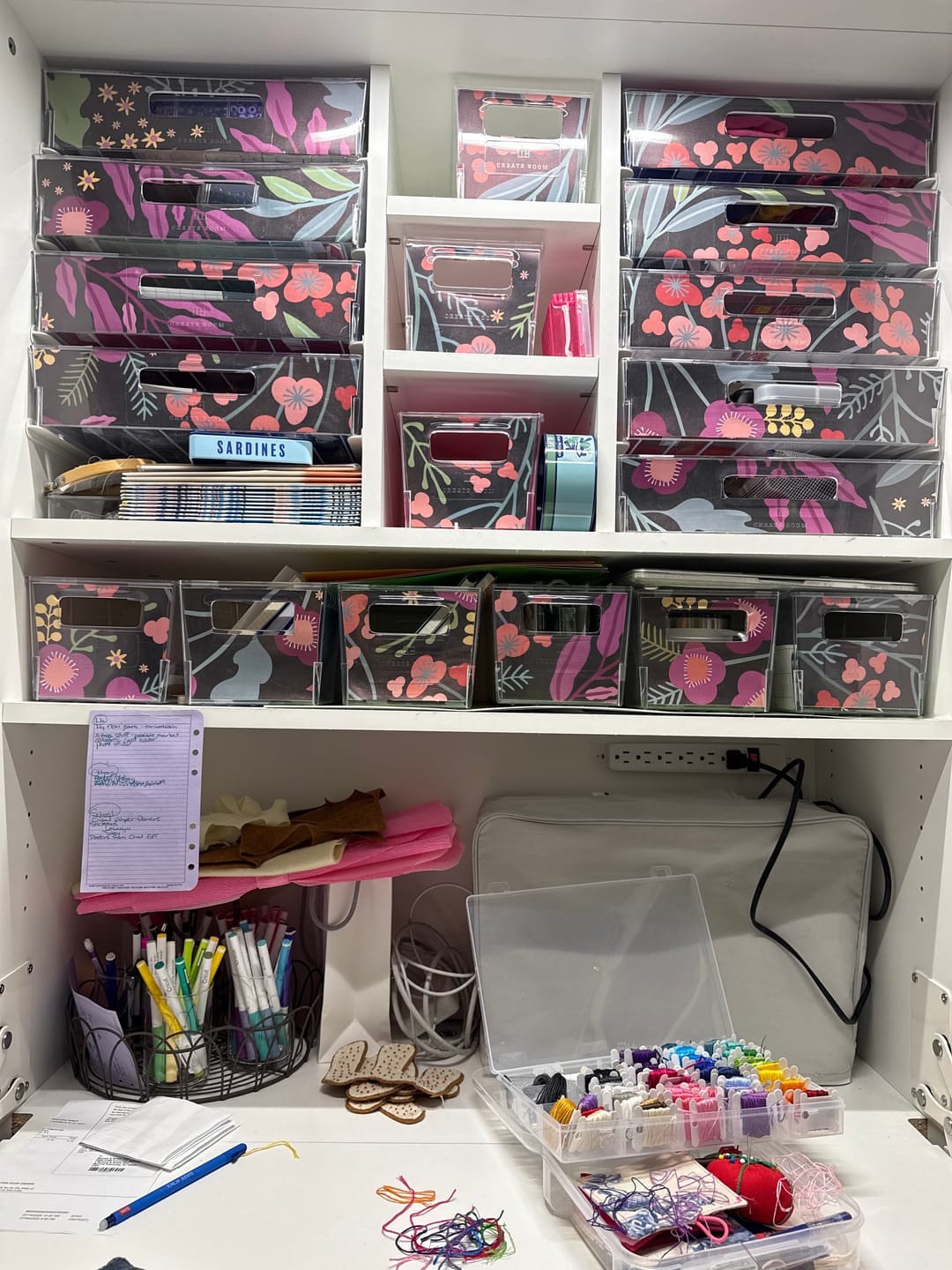 Customer photo review of InView™ Totes