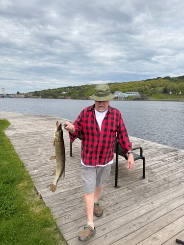 Customer photo review of Spinning Pre-Built Rod